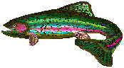 trout show xenoestrogens cause adenomyosis